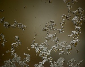 Abs 10_00009